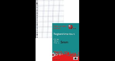 Benza - Ringbandpapier A4 - Wiskundepapier Ruit 10 mm - 23 ringen - 100 vel