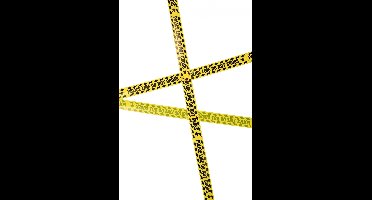 Vegaoo - Crime scene afzetlint