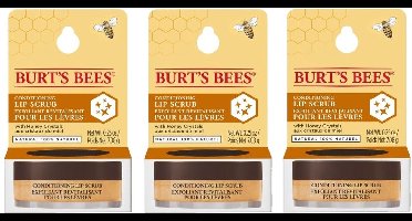 BURT'S BEES - Lip Scrub Conditioning - 3 Pak