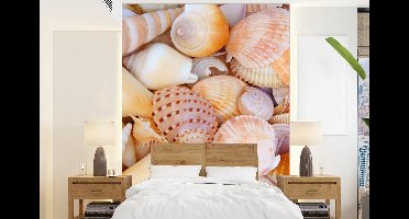 Behang - Fotobehang Schelpen - Strand - Zomer - Oranje - Breedte 160 cm x hoogte 220 cm