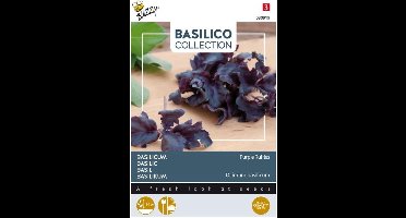 Buzzy® Basilicum Purple Ruffles: Basilicum Purple Ruffles zaden voor het kweken van een paarsbladige basilicum met decoratief gekruld blad