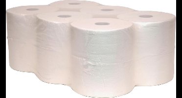 Handdoekrollen controlomatic 140m 2lgs Cellulose 20cm 6rollen (50811)