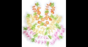 Hawaii bloemslinger bont