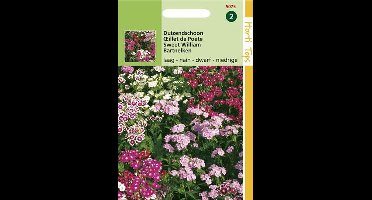 Hortitops Zaden - Dianthus Barb. Nanus Compactus Dubbel Gemengd