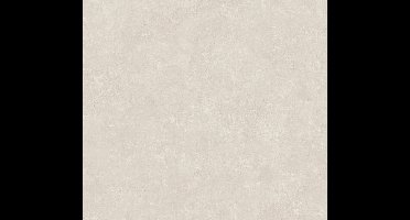 GEMELEERD BEHANG | Modern & Landelijk - creme roze - A.S. Création History of Art