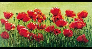 Kunstdruk Marianne Bernhardt - Klatschmohnwiese 100x50cm