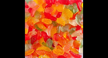DE BRON FRUIT GUMS suikervrij snoep 1 kilo