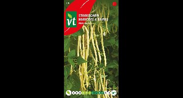 Bonen Monte Gusto - Zeer lange (tot 25 cm) en fijne boontjes
