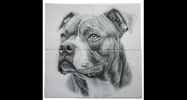 MadDeco Nederlands fabrikaat American Bully op plateau van 4 tegels Friese Witjes 13 x 13 cm per tegel