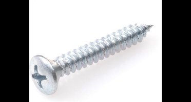 Plaatschroef Lk Philips Verzinkt 2.9x13mm - 200 stuks