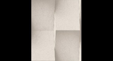 Dutch Wallcoverings vliesbehang steen - beige