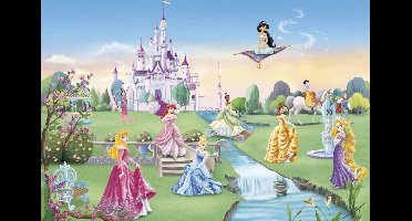 Disney Behang Princess Castle fotobehang