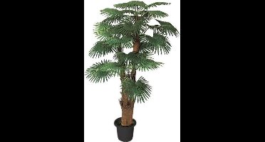 Palmboom 180 cm