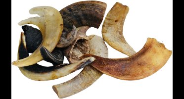 Animalking Lamshoorn Hond - Hoorn Hond - Kauwsnack Hond - Gewei Hond - S tot 50 Gram - 3 Stuks
