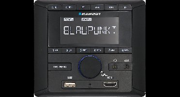Blaupunkt BPA 3022 M - Multizone Audio Module - DAB+/FM - BT Streaming voor Caravans/Campers