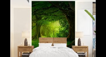 Behang - Fotobehang Bomen - Bos - Groen - Landschap - Natuur - Breedte 160 cm x hoogte 220 cm