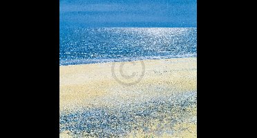 Kunstdruk Paul Evans - Silver Tide 61x61cm