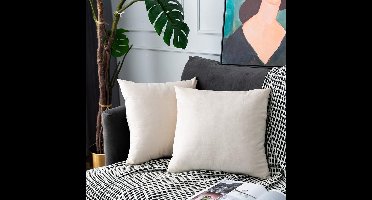 Boraboi ® Set van 2 Luxe Fluwelen Kussenhoezen voor Stijlvolle Binnenhuisdecoratie