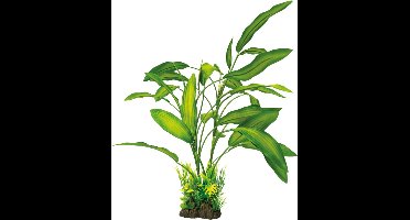 Superfish Art Plant Cryotocoryne 40cm
