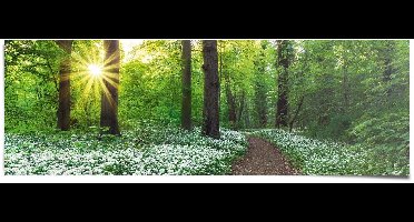 Poster Lentebos - 53 x 158 - Papier - REINDERS