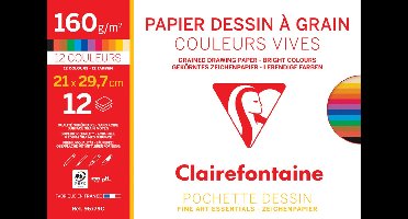 Clairefontaine Geschept Kunstenaarspapier 'à Grain'