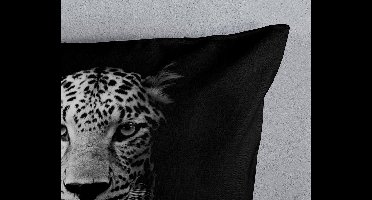 Pure Dekbedovertrek "luipaard" - Zwart - (140x200/220 cm) - Microfiber