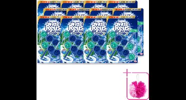 12 x Witte Reus - Toiletblok - Blauw Actief Eucalyptus - 2 Toiletblokken - Bulkverpakking - Toiletblok - Douchemop - Toilet reinigen