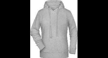 James and Nicholson Dames/dames Raglan Sleeved Hoodie (Grijze Heide)