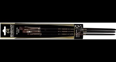 Rembrandt Olie/Acryl penselen set Serie 290/4-8-12 FSC