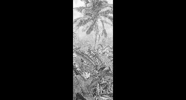 Fotobehang - Amazonia Black and White 100x250cm - Vliesbehang