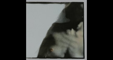 Duster 69 - Angel King