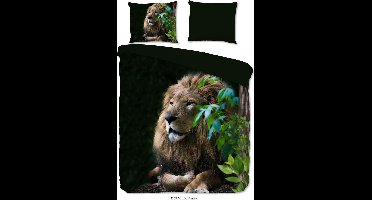 Dekbedovertrek - 240x220cm - Tweepersoons - Lits Jumeaux - Inclusief Kussenslopen - 100% Zacht Microfiber - Groen
