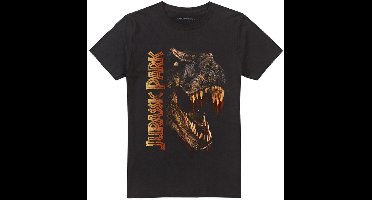 Jurassic Park T-Rex Head Heren T-shirt - zwart - 4XL