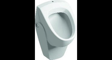 Geberit Renova Urinoir Boveninlaat Afvoer Naar Achter Of Naar Beneden 37cm Wit