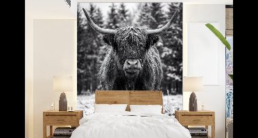 Behang - Fotobehang Schotse hooglander - Zwart - Wit - Sneeuwvlokken - Breedte 160 cm x hoogte 220 cm