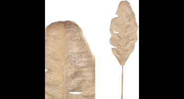 PTMD Droogbloem Vogel - 24x23x90 cm - Natuurlijk Materiaal - Bruin