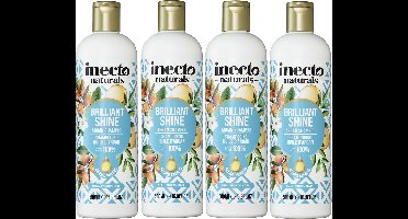 Inecto - Argan Shampoo - 4 pak - Voedend - Hydraterend - Natuurlijk
