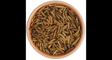 Eiwitrijke gedroogde insectenmix 1kg