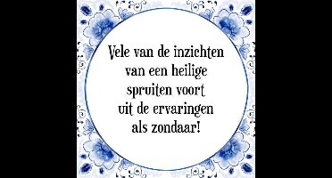 Tegeltje met Spreuk (Tegeltjeswijsheid): Vele van de inzichten van een heilige spruiten voort uit de ervaringen als zondaar! + Kado verpakking & Plakhanger