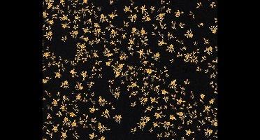 KLASSIEK BLOEMETJES BEHANG - Zwart Goud - AS Creation Versace 4