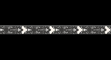 BAROK BEHANGRAND - Zwart Wit  - AS Creation Only Borders