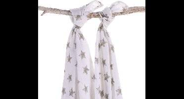 Briljant Baby Robin - Hydrofiele Wikkeldoek - 120x120 cm - Set van 2 - Grijs