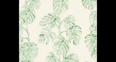 MONSTERA BLAD BEHANG | Botanisch - groen wit - A.S. Création Greenery
