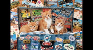 Educa - puzzel - Kittens op Reis - 200 stukjes