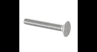 Slot-bout RVS-A2. M8 x 60 mm. 3 stuks Hout-Bouten. Homefix.