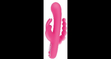 Rabbit and Anal Vibrator