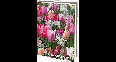 Bekking & Blitz - Wenskaartenmapje - Set wenskaarten - Kunstkaarten - Museumkaarten - Uniek design - 10 stuks - Inclusief enveloppen - Bloemen  - Tulpen - Hyacinten - Modeste Herwig