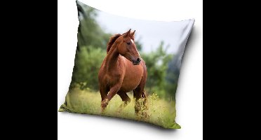 Paarden - Sierkussen Kussen 40 x 40 cm inclusief vulling