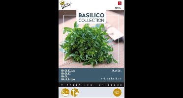 Buzzy® basilicum Greek Basil Bush Ball - Compacte en aromatische basilicum voor potten