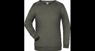 James And Nicholson Dames/dames Basic Sweatshirt (Donkergrijs)